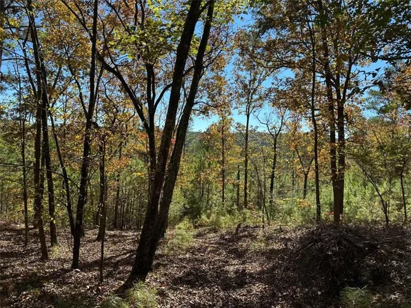 Township Road 2 Culp Lake Rd #2, Cedartown, GA 30125