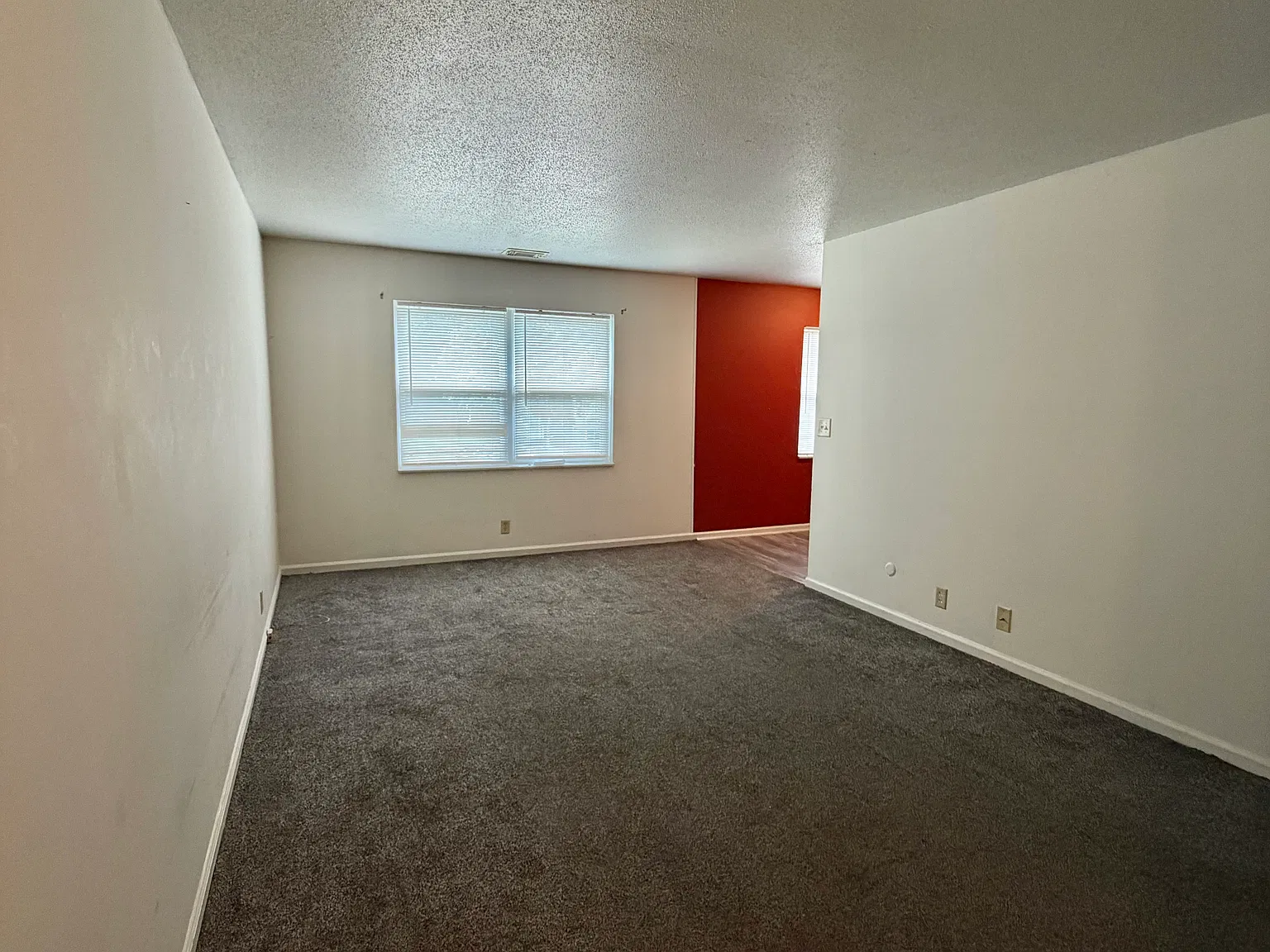 430 Lark Ct — Photo 3