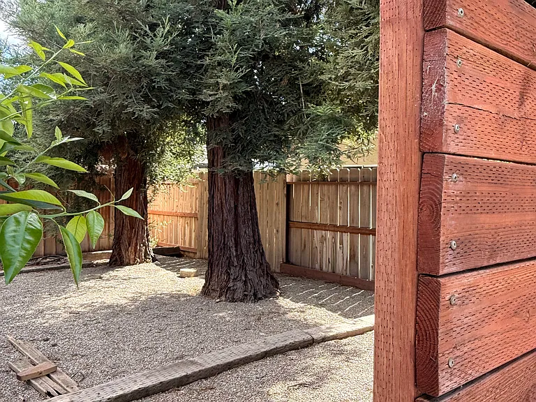 809 Laver Ct — Photo 23