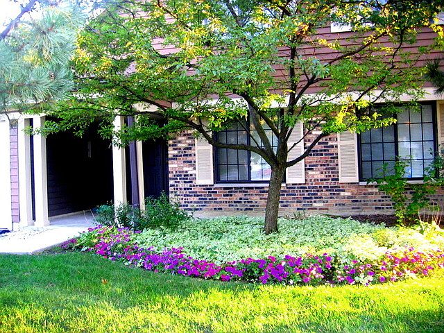 1st image of 881 Yosemite Trl APT C