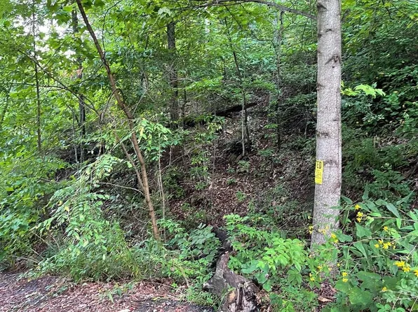 3022 Jump Off Ridge Rd, Hiawassee, GA 30546