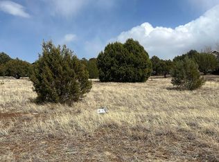 1061 S Ridgeline Dr, Show Low, AZ 85901