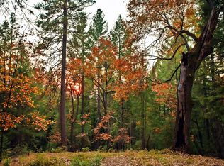 3939 Inagahee Rd, Pollock Pines, CA 95726