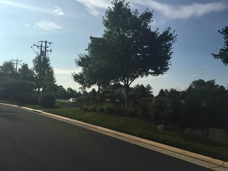 22732 Parkland Farms Ter — Photo 5