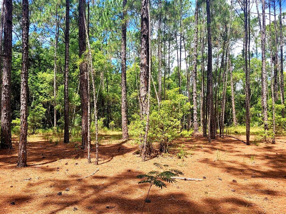 1st image of Tropical Dr