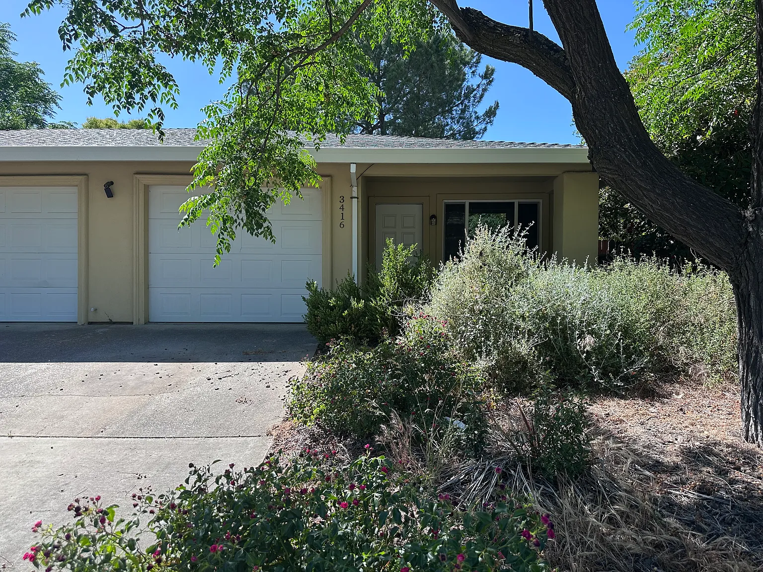 3416 Viking Dr photo 1