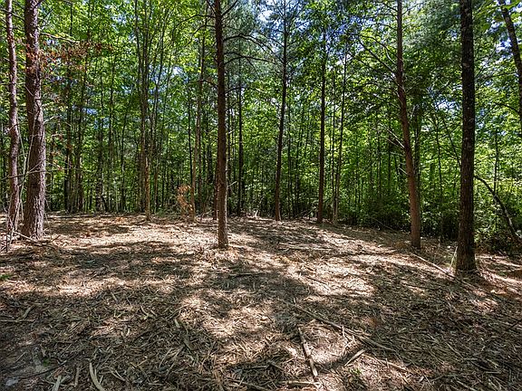 5th image of Pack Mountain Rd