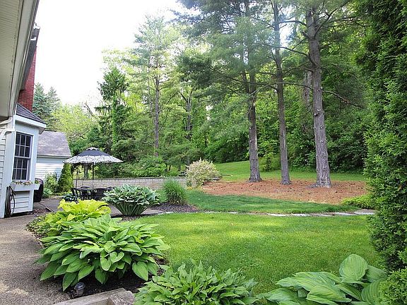 Another view of the back