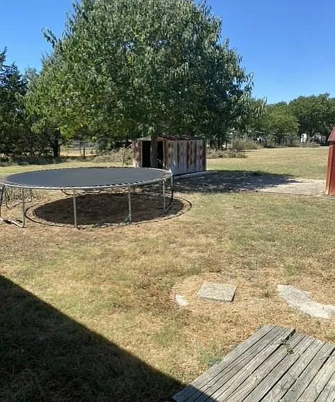 Back yard