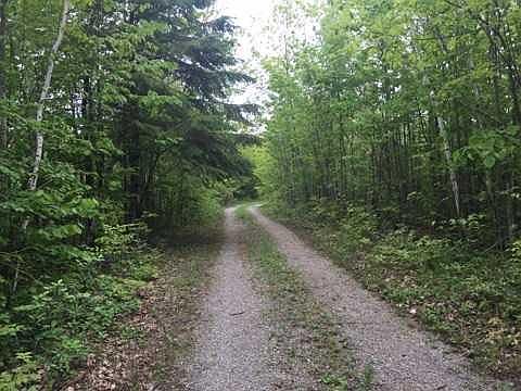 4th image of Nhn N Us 23
