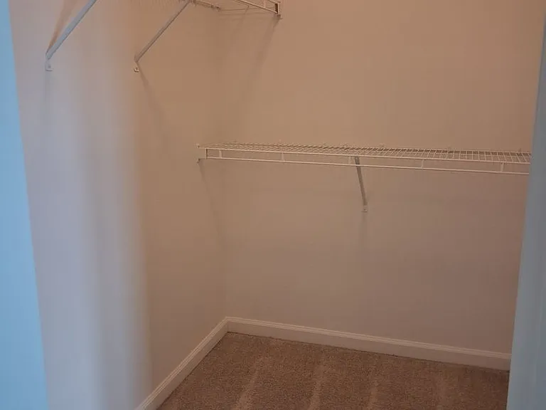 4301 Salt Marsh Ln — Photo 19