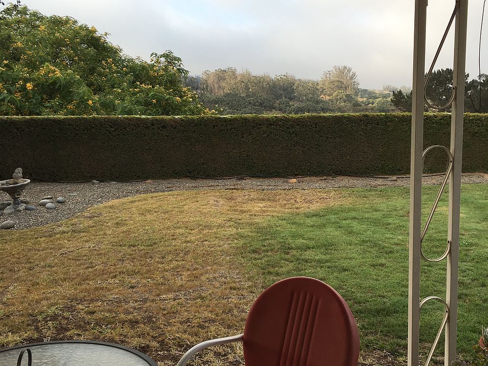 Backyard unobstructed views