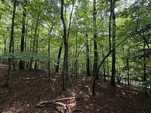 4th image of 0 Oneida Cir Lot 870