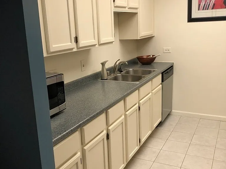 680 N Lake Shore Dr #1509 — Photo 8