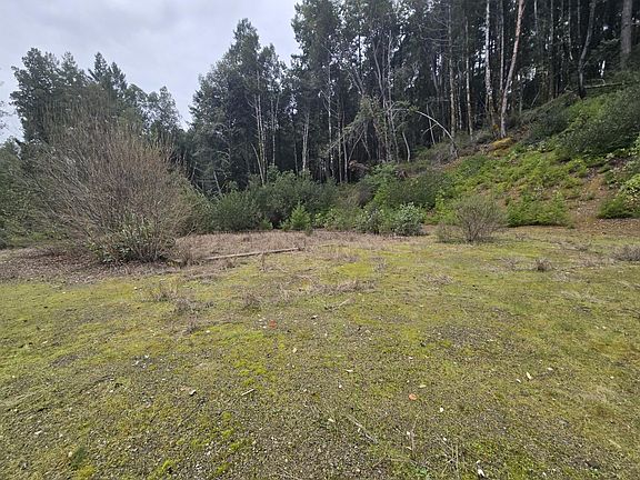 3rd image of 6220 Rancho Sequoia Dr