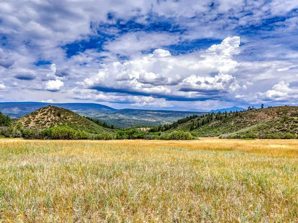 1030D COUNTY RD 139, Pagosa Springs, CO 81147