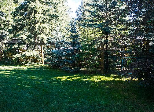 Back yard view