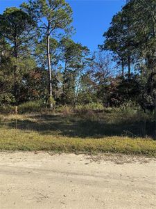 0 SE 330th St Lot 156, Old Town, FL, 32680