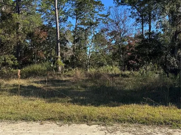 0 SE 330th St Lot 156, Old Town, FL 32680