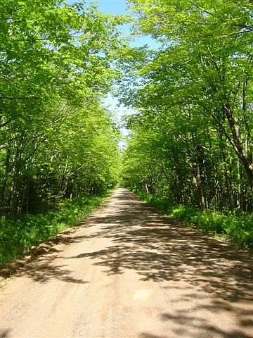 128X Cramer Rd photo 1