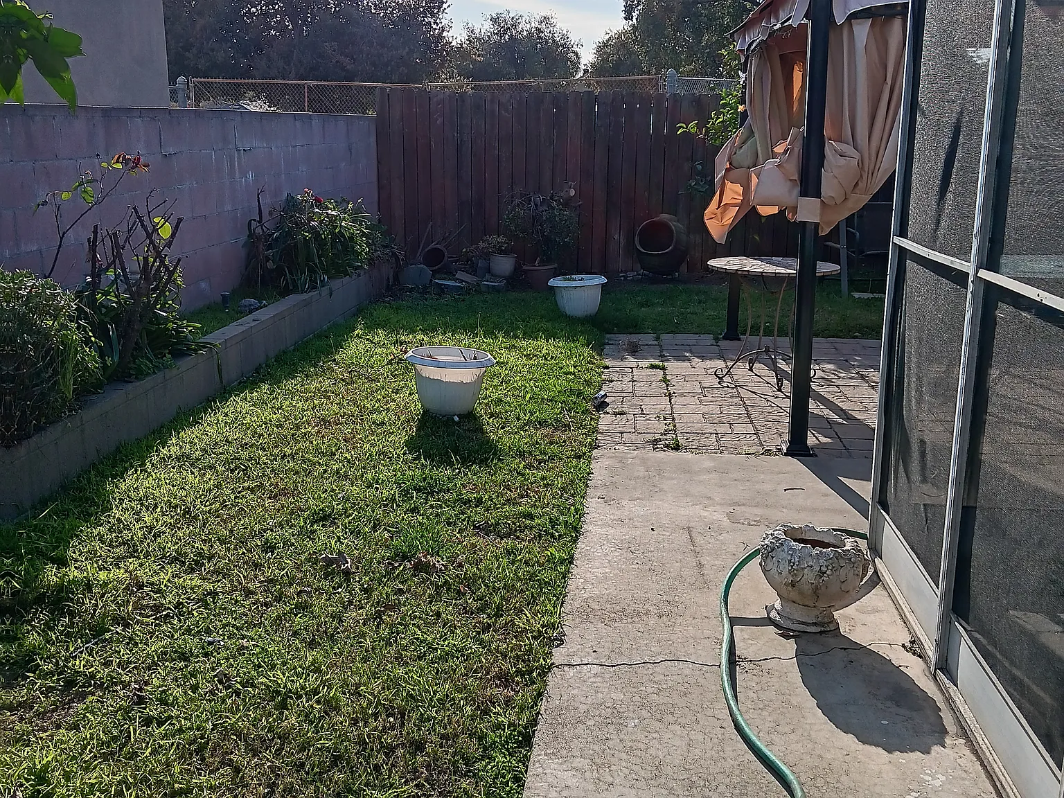 3 bed, 1385 sqft, $3,100 — Photo 4