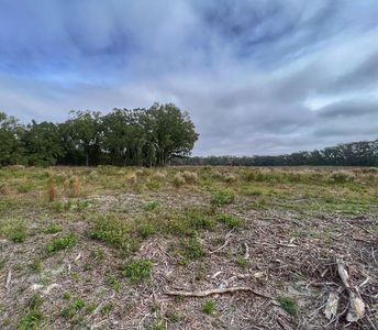 0 NW County Road 341, Bell, FL, 32619