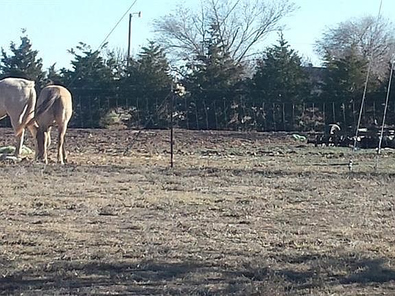 2nd image of 812 N Fm 2378