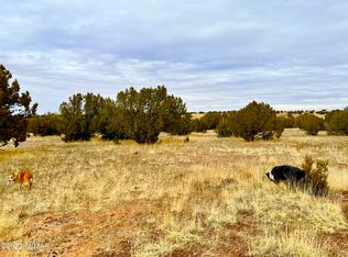 2387 Coronado Pl, Show Low, AZ 85901