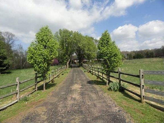 Tree Lined Driveway