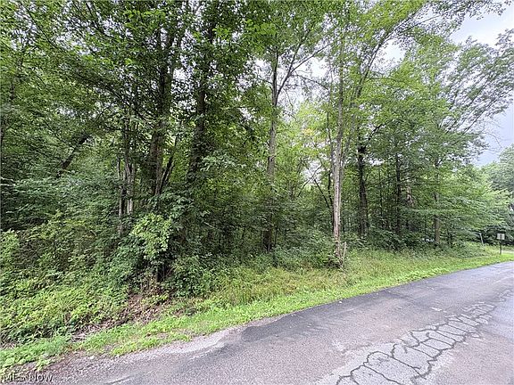 4th image of Bon Air Ave NE