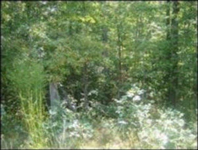 2nd image of 0 Cougar Ln Lot 314