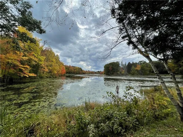 8 Racoon Ridge Road #8, Woodbury, CT 06798