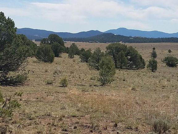 2nd image of 794 Blazing Saddle Trl #600