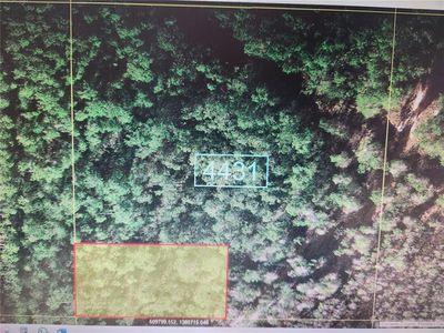 Holopaw Groves Rd, Saint Cloud, FL, 34771