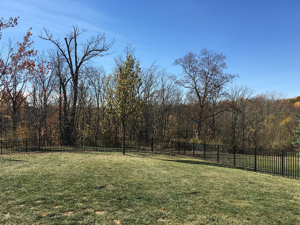 Fenced Backyard