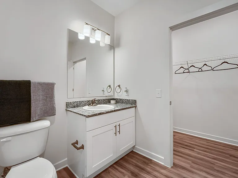 Toilet, sink and walk-in closet to the side