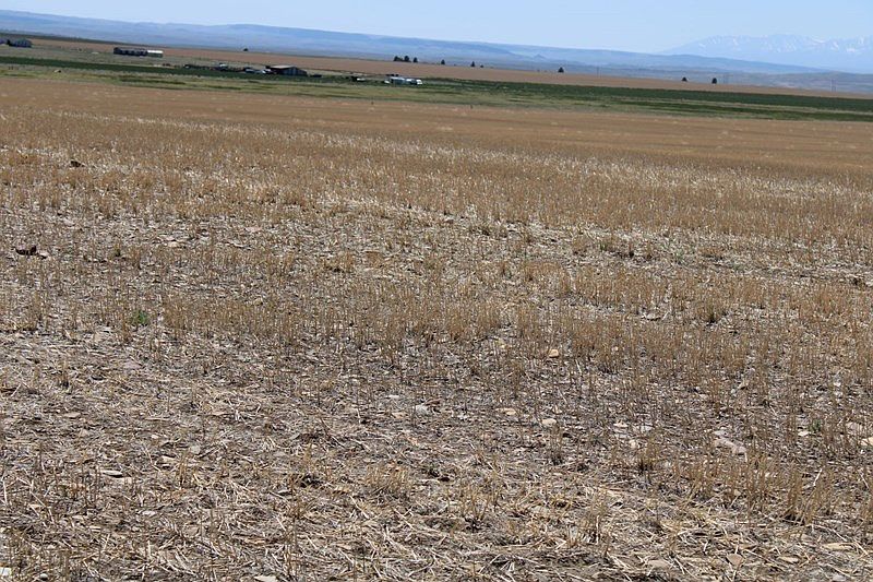 Antelope Ln, Harlowton, MT 59036 Zillow