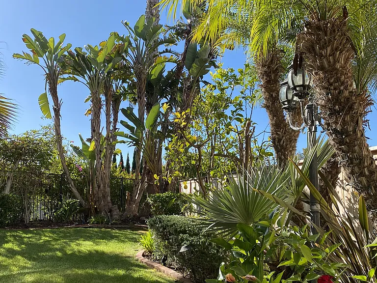 4259 Calle Mejillones — Photo 24
