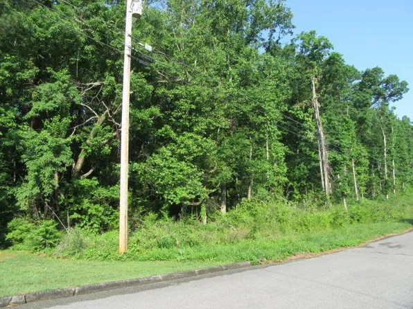 0 Hickory Ridge Trl #222, Ringgold, GA 30736