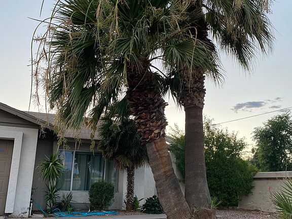2nd image of 984 N 85th Pl