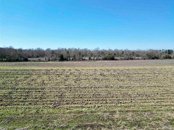 3rd image of 8 Cowpen Creek Rd