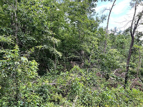 4th image of Lot 45 Private Road Ridge Haven