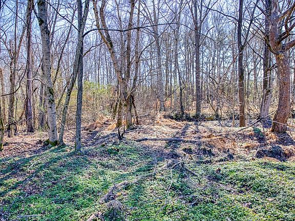 4th image of 0 Williams Cir Lot 21