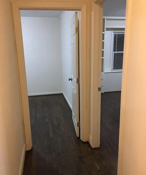 55 Cox St #B — Photo 21