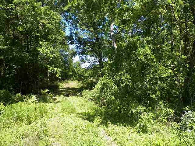 2nd image of 2243 James D Hagood Hwy