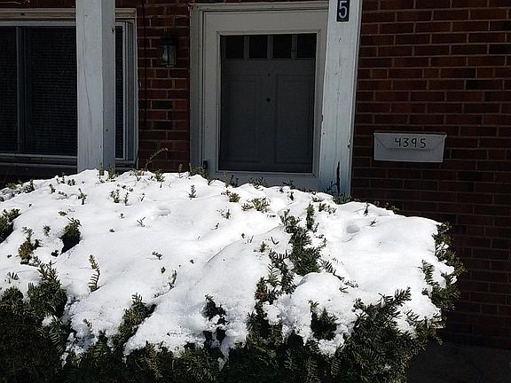 2nd image of 4395 Fairway Dr #5