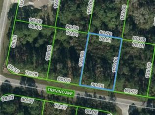 8110 Trevino Ave, Sebring, FL 33872