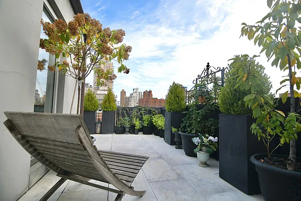 Sold by Carol E Levy | media 2