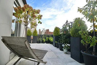 Sold by Carol E Levy