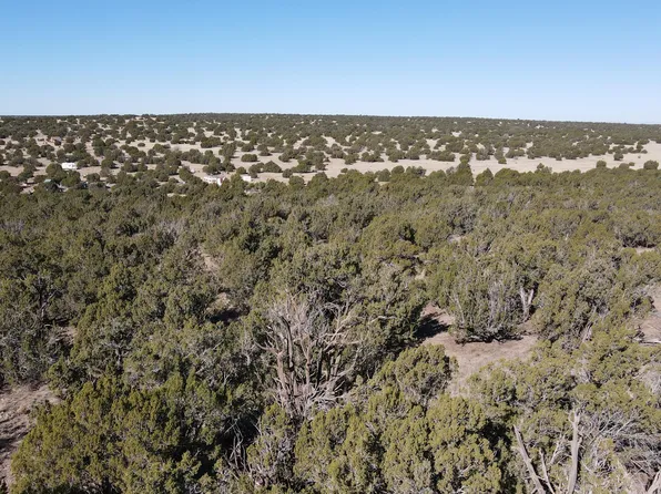 85 County Road 8249 -- #6, Concho, AZ 85924